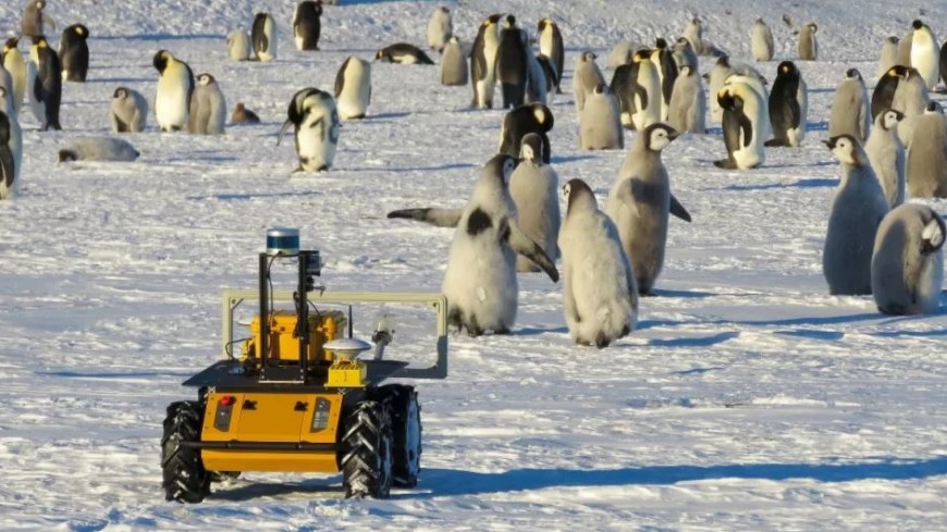 В США создали робота для наблюдения за императорскими пингвинами