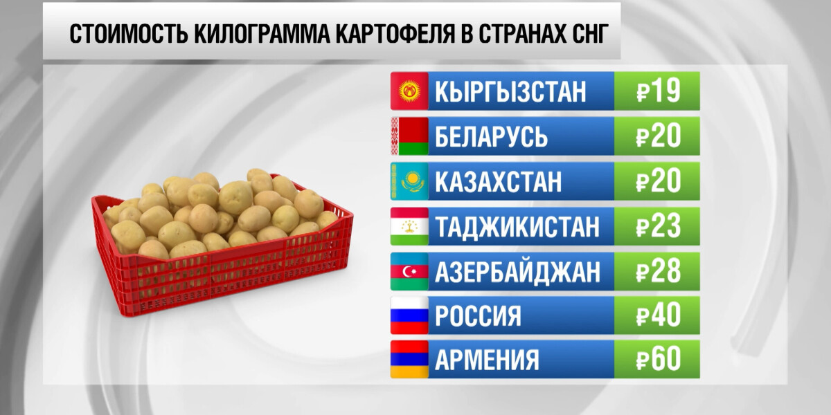 Килограмм картошки стоит 40 рублей. Сколько стоит килограмм картошки. Сколько стран в мире на сегодня. Инфографика рубль несколько. Цена килограмма картошки в Беларуси.
