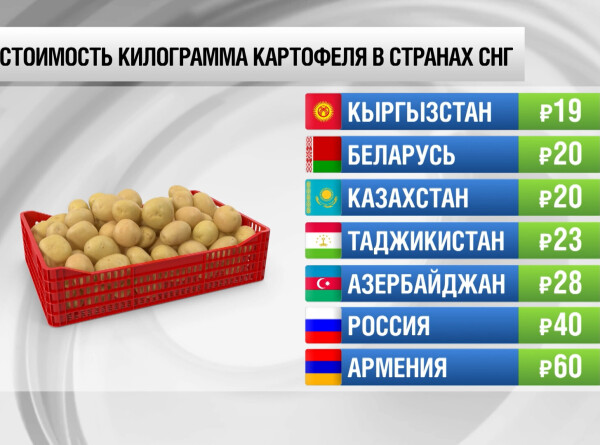 Сколько стоит килограмм картофеля в странах СНГ. Инфографика