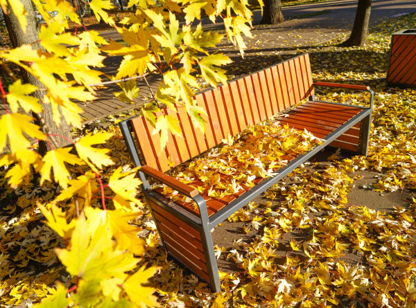 Золотая осень помогла школьникам Душанбе набрать материал для поделок