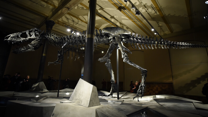 Скелет тираннозавра сняли с аукциона из-за сомнительного происхождения