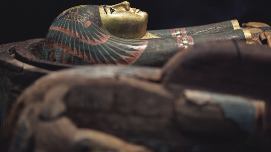 Древних мумий с золотыми языками нашли в египетском некрополе