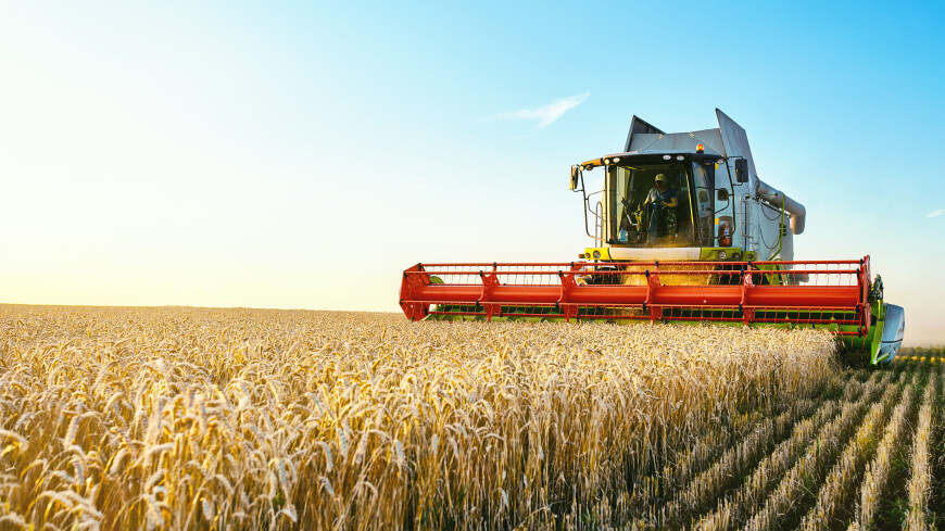 Объем экспорта сельхозпродукции Беларуси вырос на четверть