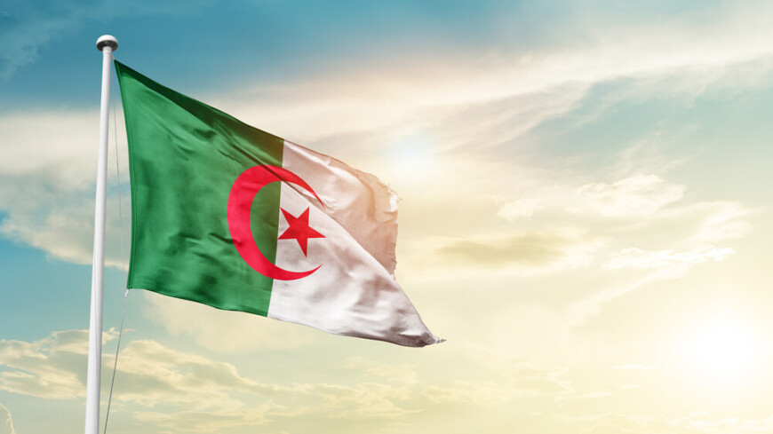 Алжир подал заявку в БРИКС. Чем это выгодно России?