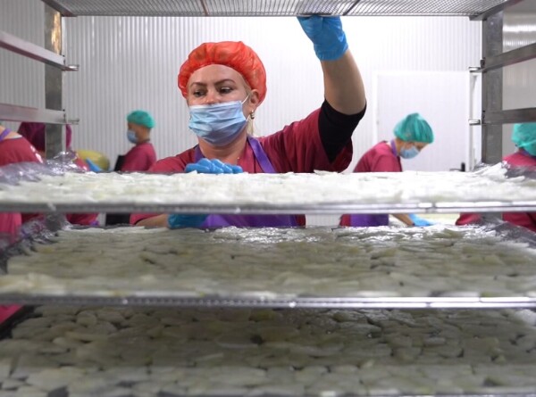 Полезные чипсы: как в Кыргызстане производят сухофрукты?