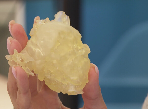 Петербургские ученые печатают на 3D-принтере полимерное сердце