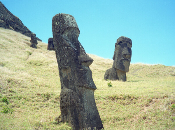 Статуи-монолиты моаи пострадали из-за лесных пожаров на острове Пасхи