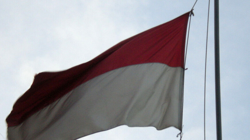 Фото: &quot;Dekoelie, Викимедиа&quot;:https://commons.wikimedia.org/wiki/File:Indonesian_Flag.JPG?uselang=ru, флаг индонезии