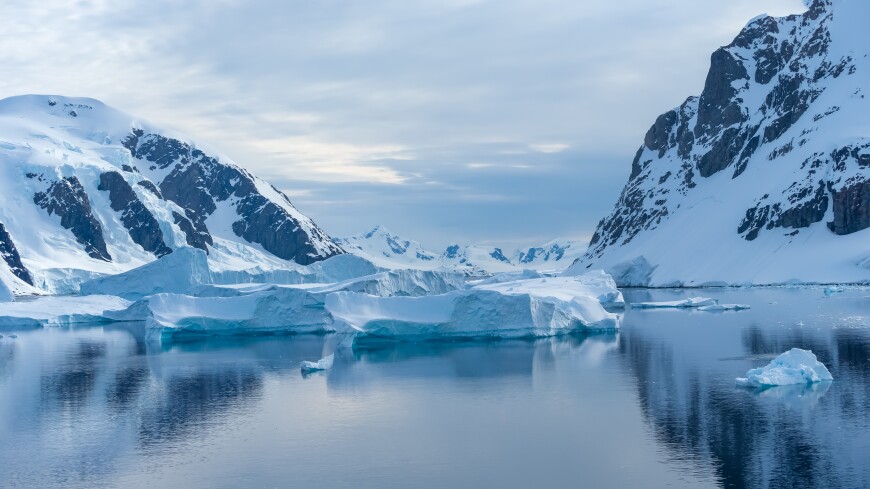 У берегов Антарктиды обнаружили ископаемую ДНК