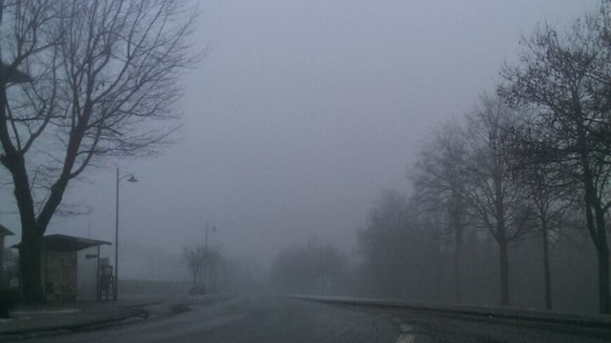 © Фото: &quot;Елизавета Шагалова, «Мир 24»&quot;:http://mir24.tv/, плохая видимость, туман, туман на дороге, дорога, дорога в тумане