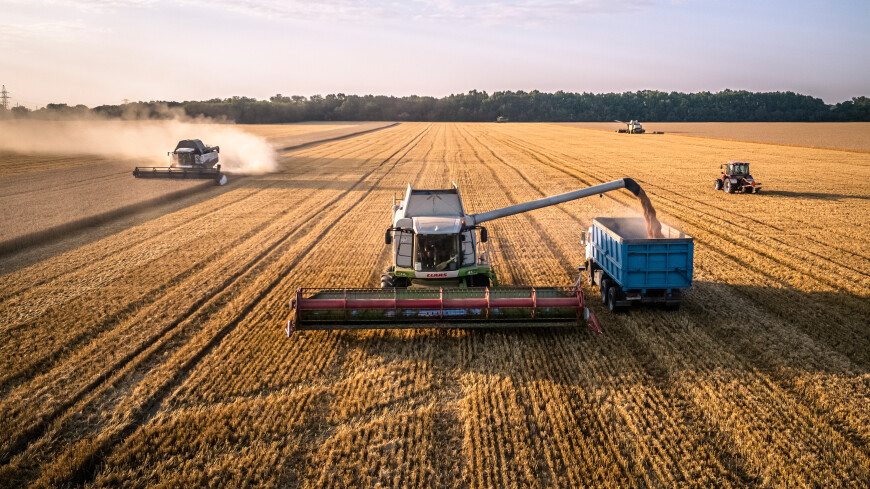 Россия достигла исторического рекорда по сбору зерна