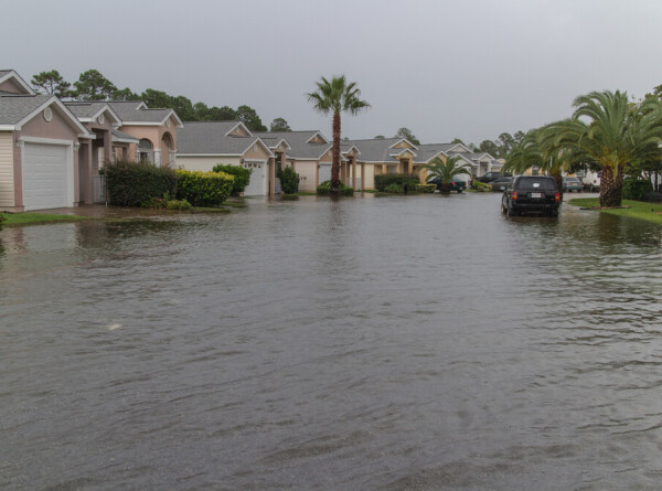 Акула на одной из затопленных улиц Флориды попала на видео