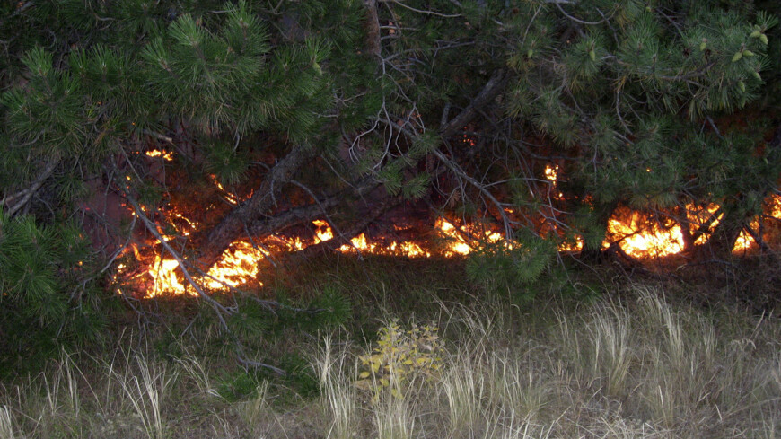 Природные пожары полыхают в трех районах на востоке Казахстана
