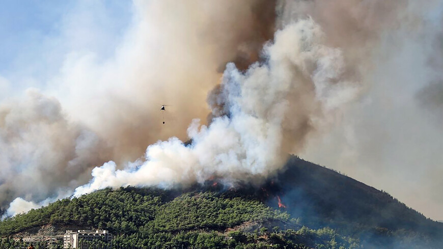 Лесной пожар вспухнул в турецком Мармарисе