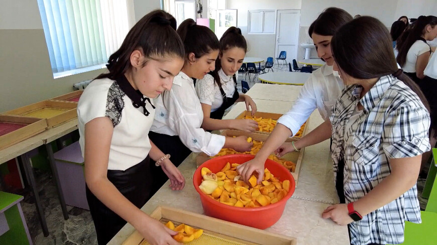 Ученики сельской школы в Армении учатся тонкостям фермерства