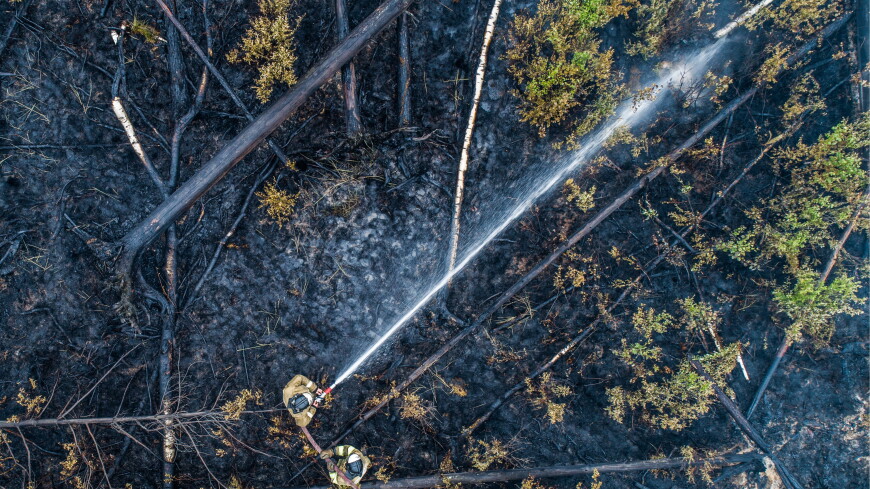 Природный пожар полностью локализован в Рязанской области