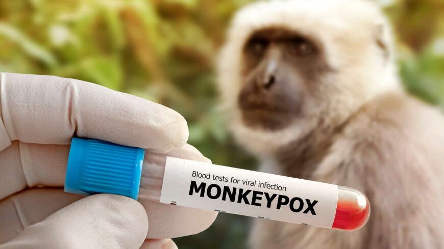 Биологи раскрыли структуру ключевого белка вируса оспы обезьян