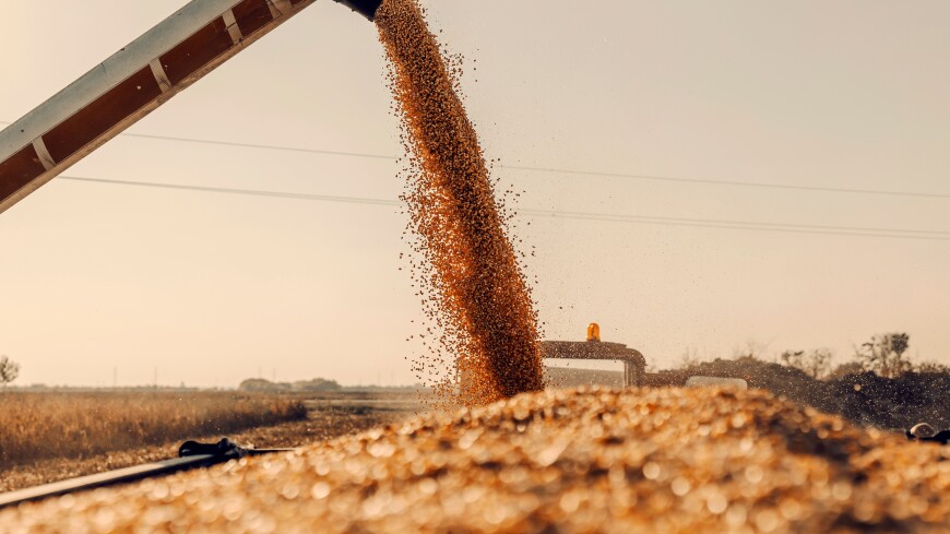 Путин: Россия поставит нуждающимся странам до конца года 30 млн тонн зерновых