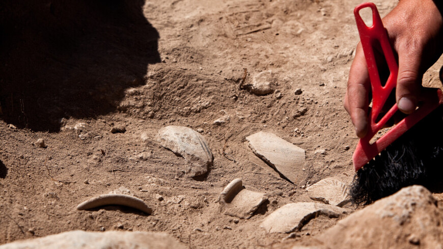 Британские археологи раскрыли кулинарные традиции неолита