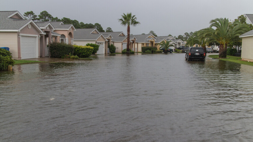 Акулу заметили на одной из затопленных улиц Флориды