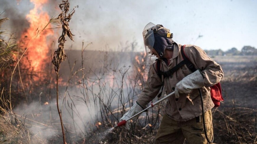 Власти Костанайской области Казахстана объявили ЧС из-за природных пожаров