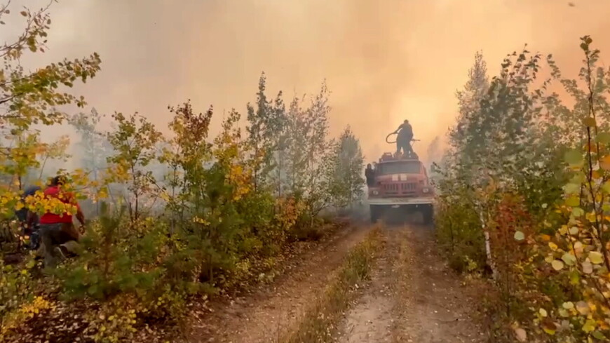 Последний очаг лесного пожара локализован в Ивановской области