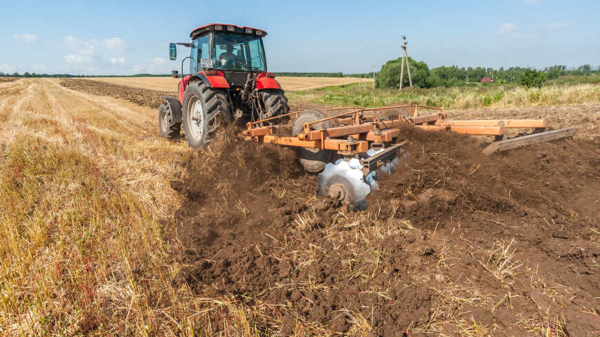 Правительство России расширило программу поддержки аграриев