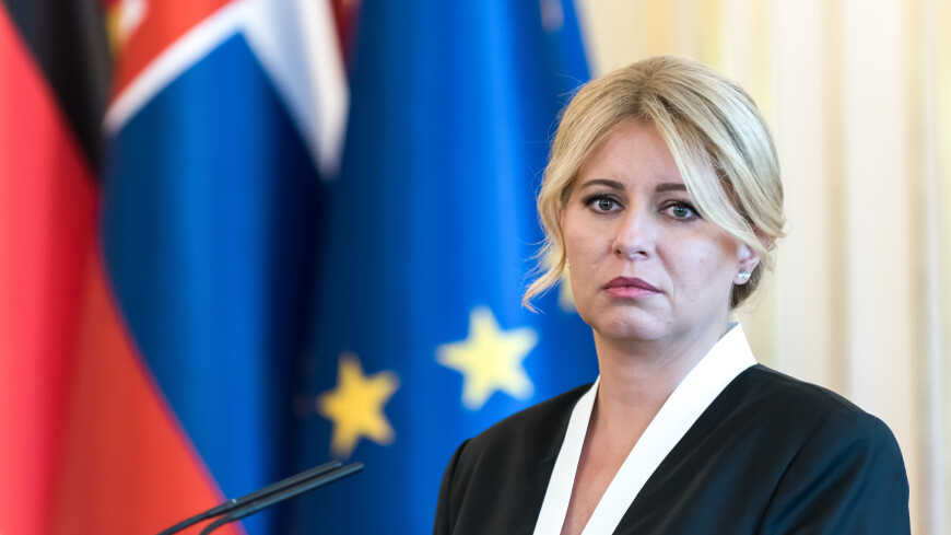 Президент Словакии объявит референдум о досрочных выборах в парламент