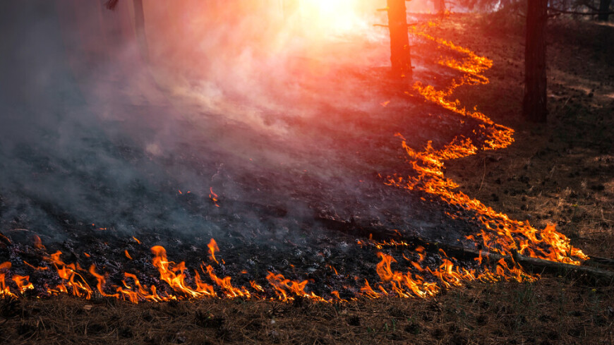 Природные пожары в Казахстане угрожают приграничным с Россией территориям
