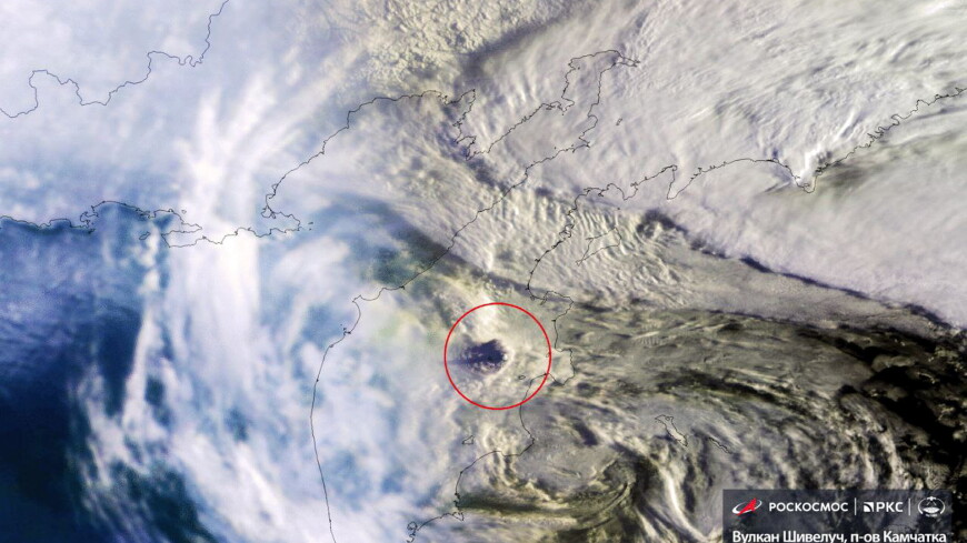 «Роскосмос» показал окутанные облаками пепла окрестности вулкана Шивелуч