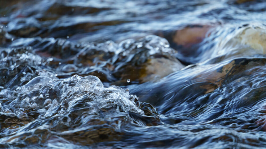 Уровень воды в реке Сухона в Вологодской области достиг критической отметки