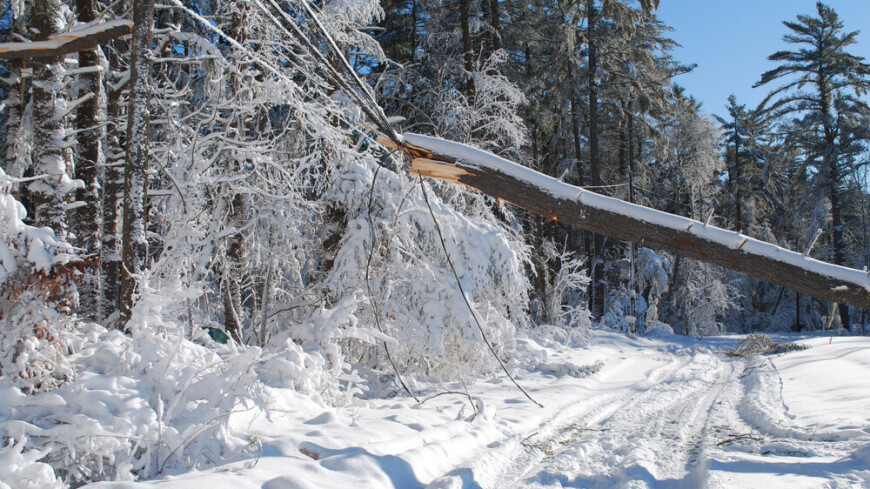 Из-за ветра и снега без электричества в Иркутской области остались более 56 тысяч человек