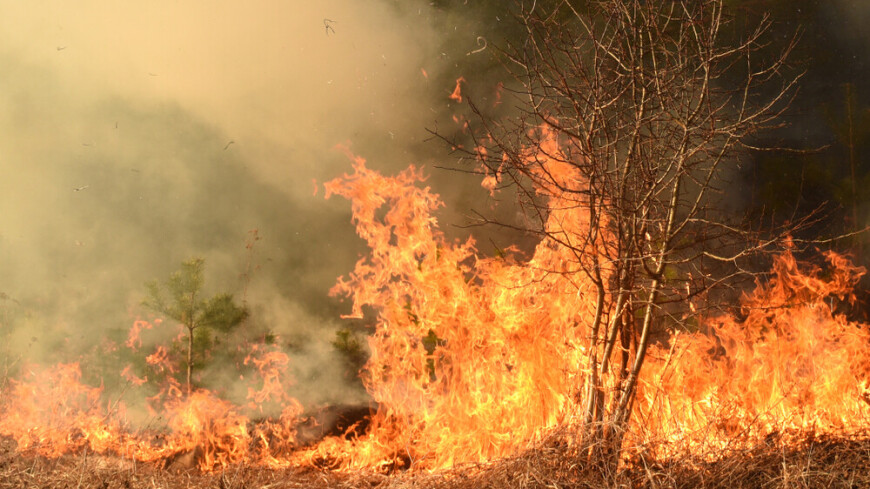 Угроза перехода огня с природных пожаров на населенные пункты Курганской области снята
