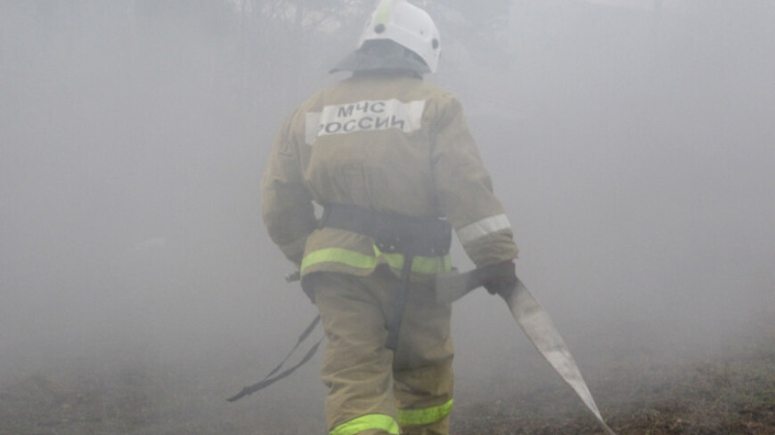 Открытое горение ликвидировали в деревне Луговое Омской области