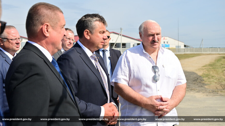Лукашенко поручил шире использовать семена отечественной селекции
