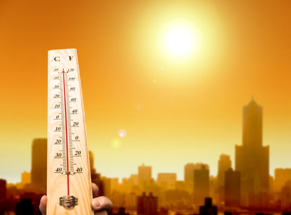 Последнее десятилетие официально признали самым жарким в истории