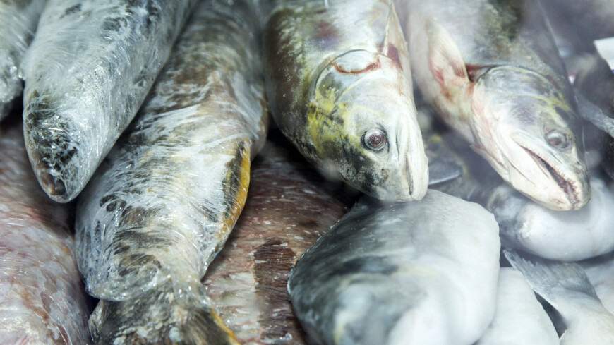 Свежая, соленая, копченая, фаршированная, вяленая — рыбу и другие морепродукты на любой вкус можно попробовать и купить в Москве на фестивале «Рыбная неделя».