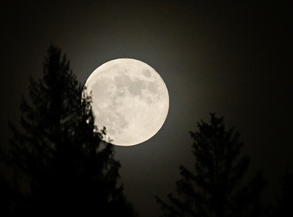 Снежная луна: второе полнолуние года наступит 5 февраля