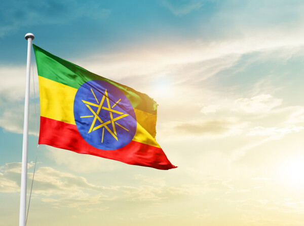 Новые визовые правила для россиян начали действовать в Эфиопии