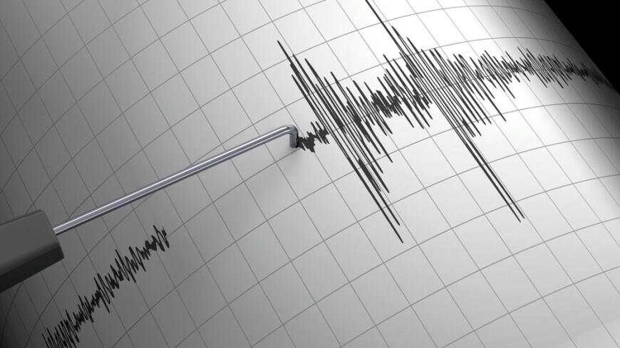 Землетрясение магнитудой 4,8 произошло на севере Кыргызстана