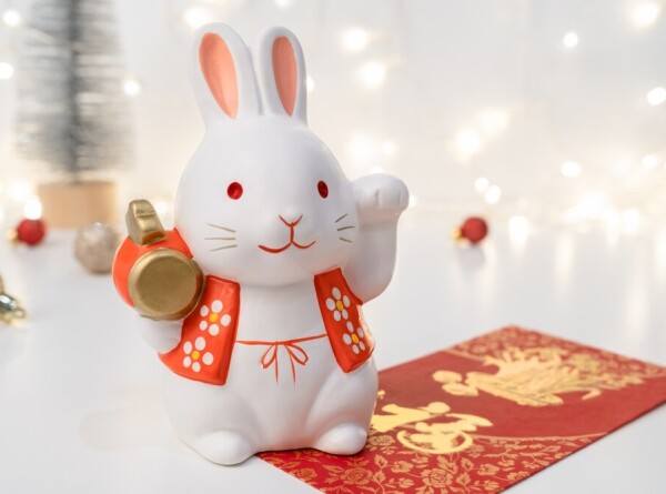 Такой долгожданный китайский Новый год: Тигр &laquo;поцарапал&raquo;, надежда на Кролика