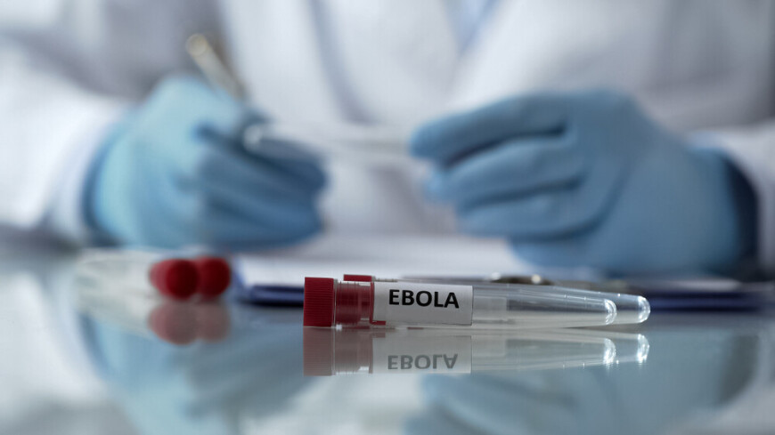 Эпидемия лихорадки Эбола в Уганде завершилась