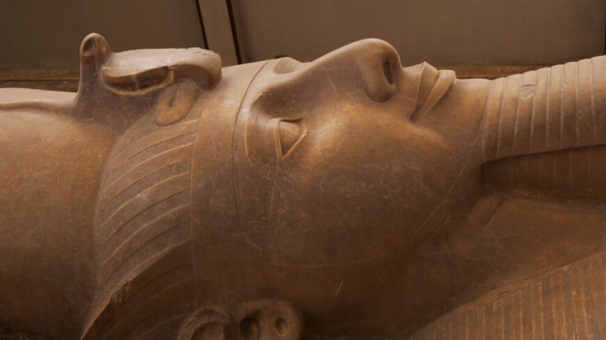 Саркофаг египетского фараона Рамзеса II привезут во Францию