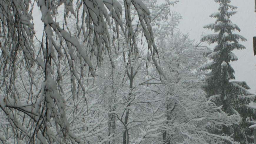 Фото: Елена Андреева &quot;«Мир24»&quot;:http://mir24.tv/, метель, зима
