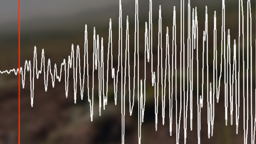 Землетрясение магнитудой 4,6 произошло на Сахалине