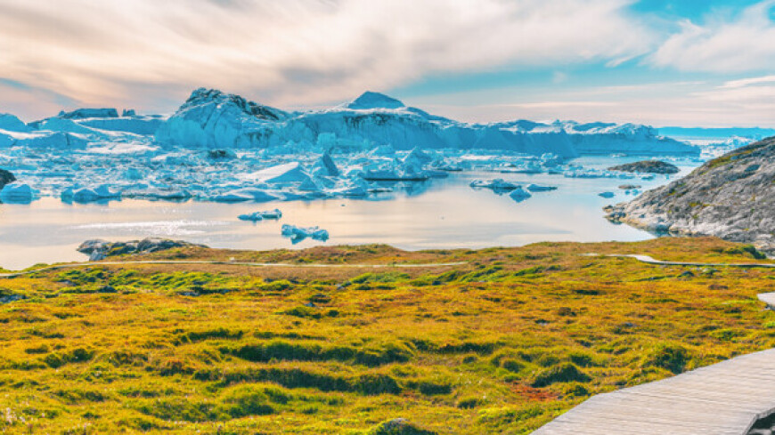 Гренландия пережила самое жаркое десятилетие за последнюю 1000 лет