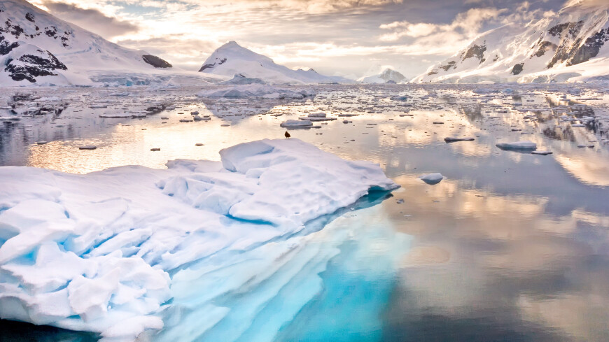 Рекордно низкую площадь морского льда в Антарктиде связали с Эль-Ниньо