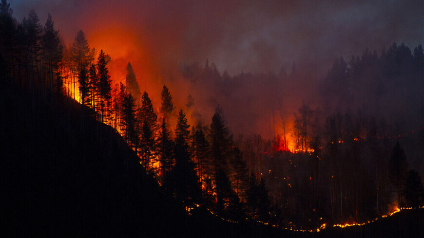Лесной пожар вспыхнул на Канарах, эвакуировано две тысячи человек