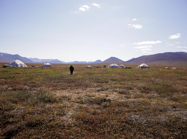 В Арктике будут сельхозугодья, а в южных регионах – пустыни: прогноз климатолога