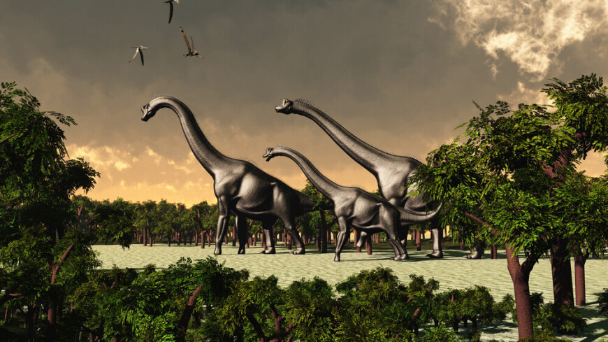 Ученые нашли доказательства, что длинношеим динозаврам откусывали голову